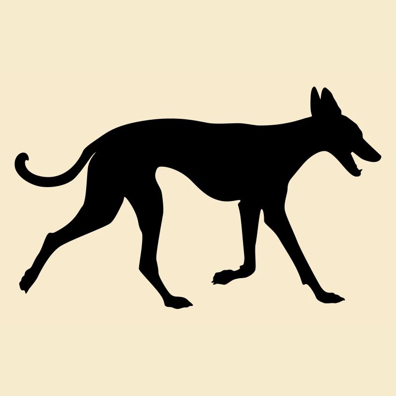 Podenco runs along