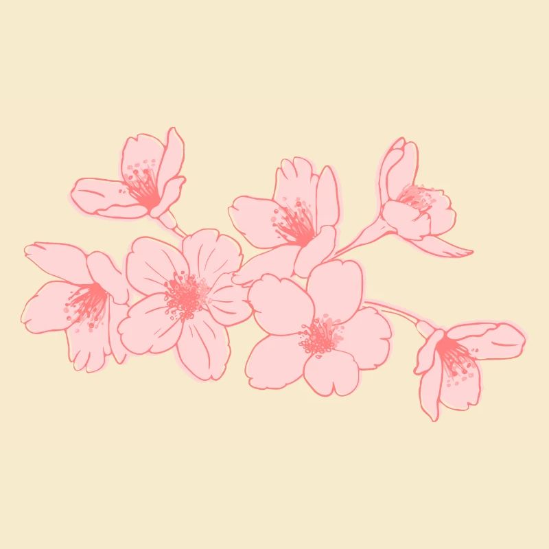 Sakura