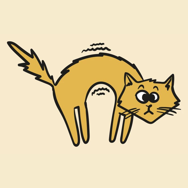 Coole Katze