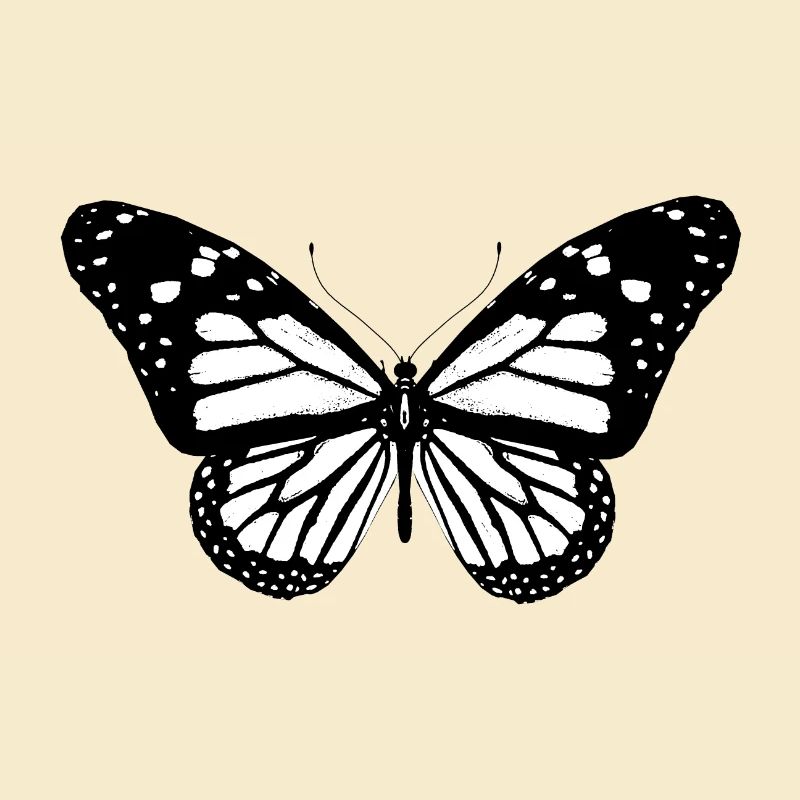 Schmetterling, Falter, Geschenkidee