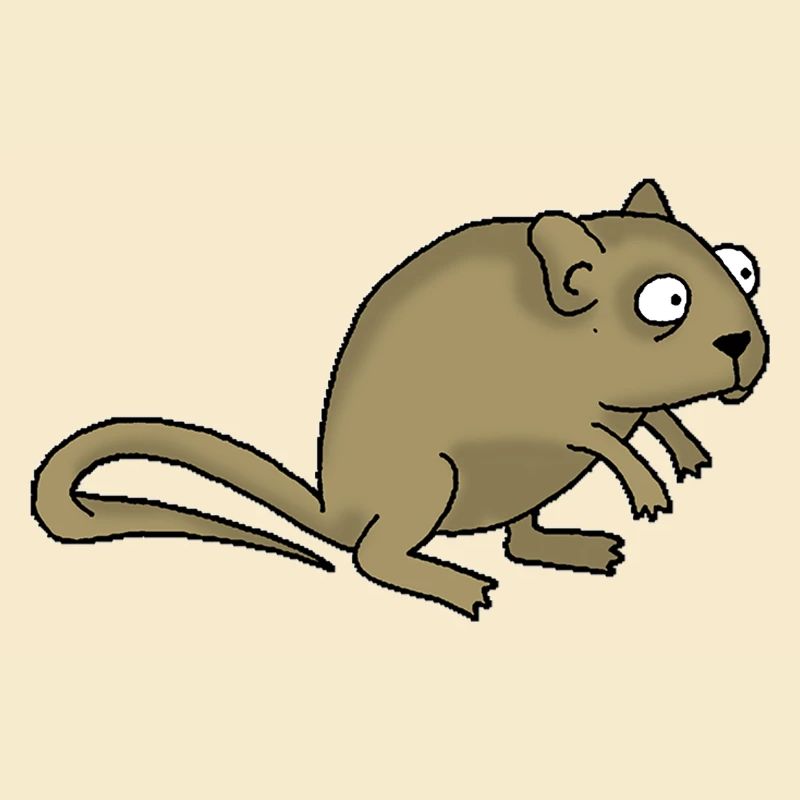 Maus