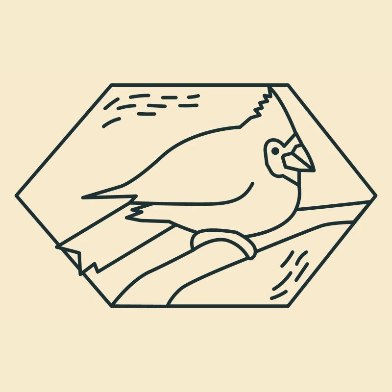 Diamant Kardinalvogel