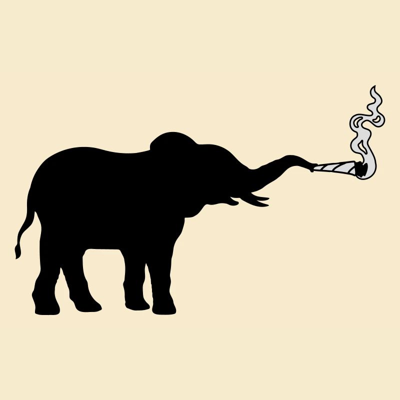 Fumer l’herbe à joint d’éléphant