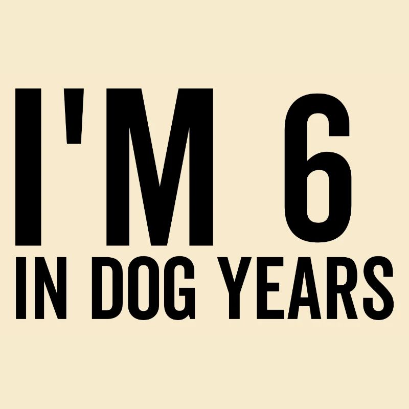 Ich bin 6 in Hundejahren