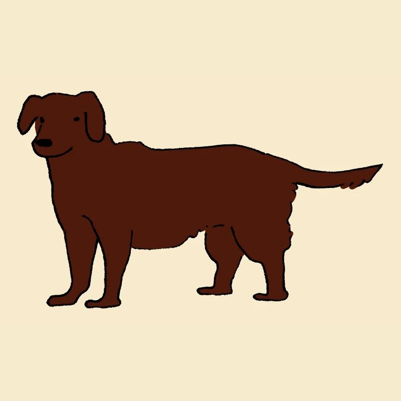Labrador