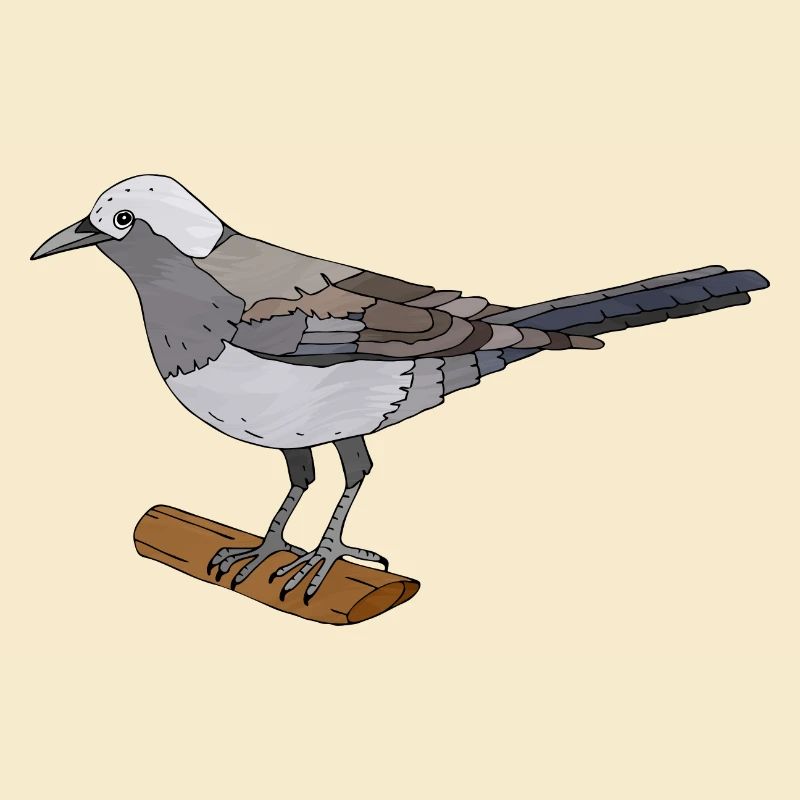 Vogel