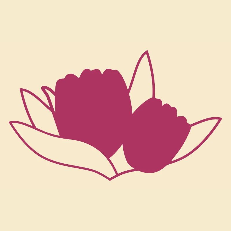 Tulpe Rosa