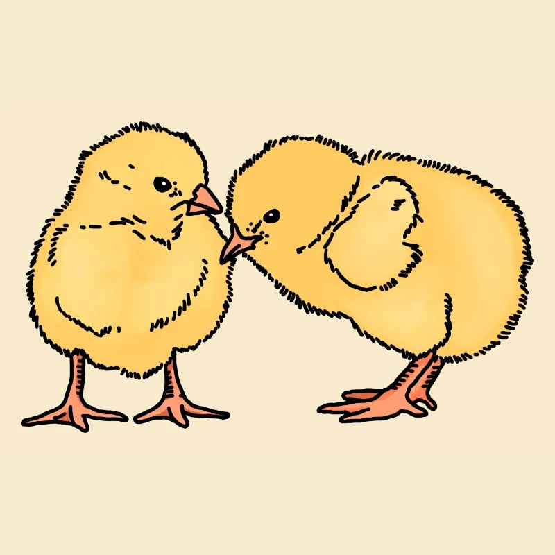 Two cute chicks