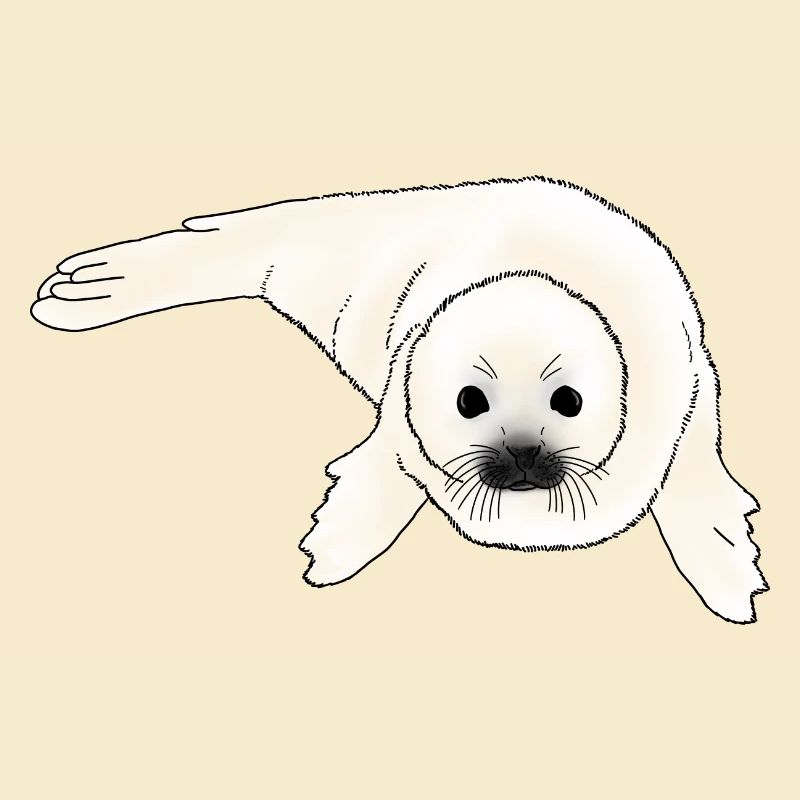 Bébé phoque