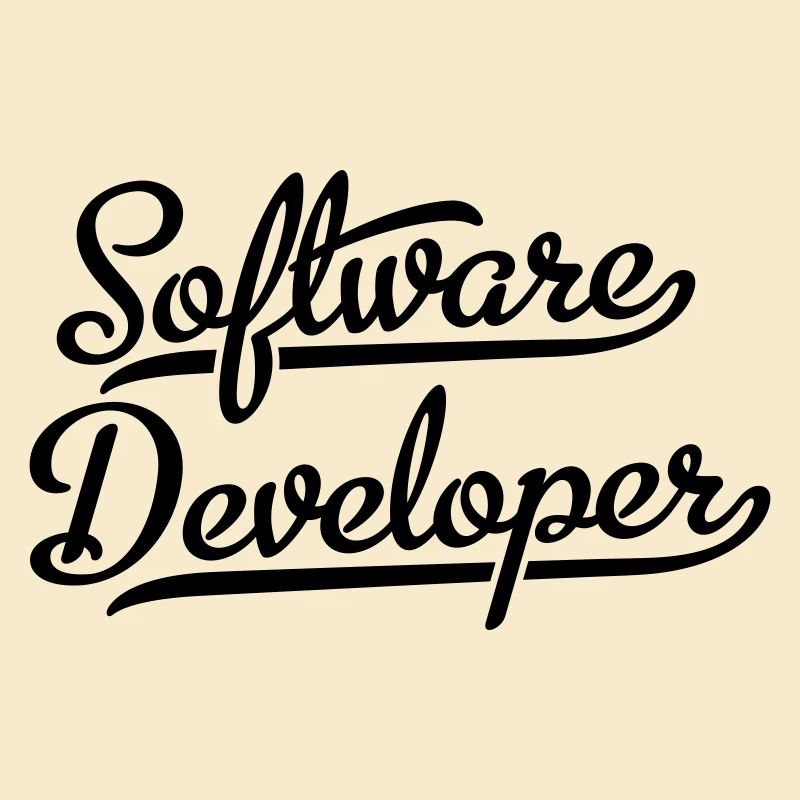 Software Developer