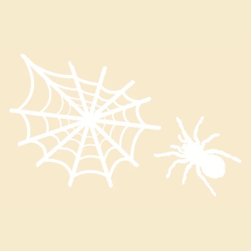 spinne spinnennetz