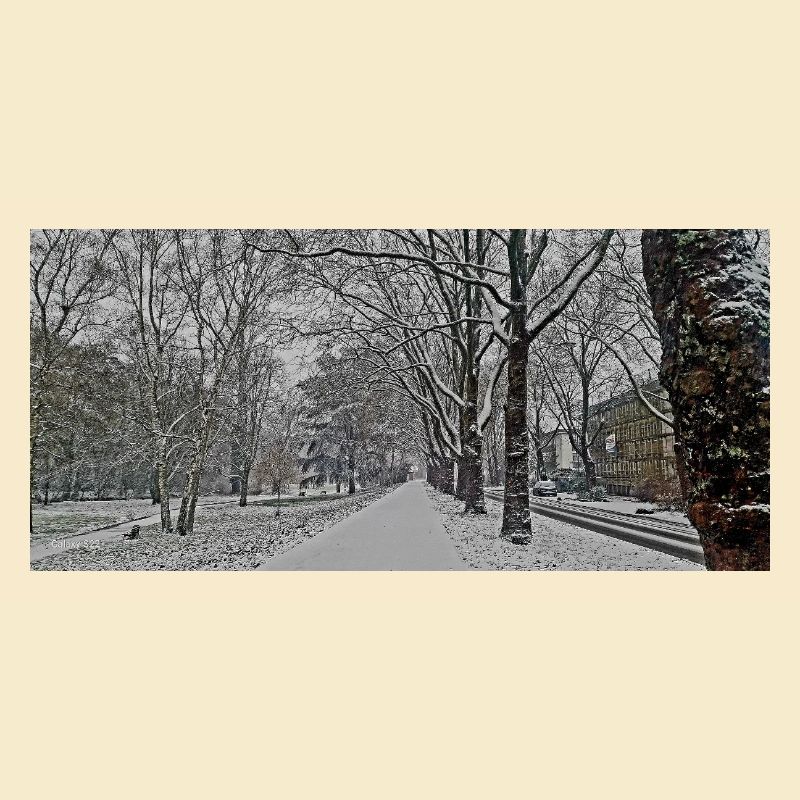 Winterallee im Schneefall