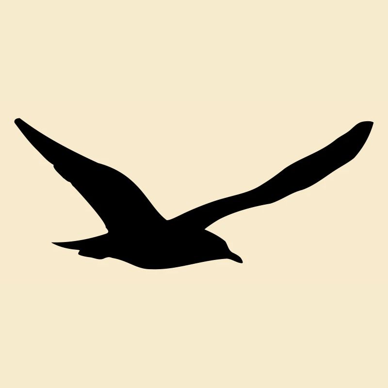 Möwe