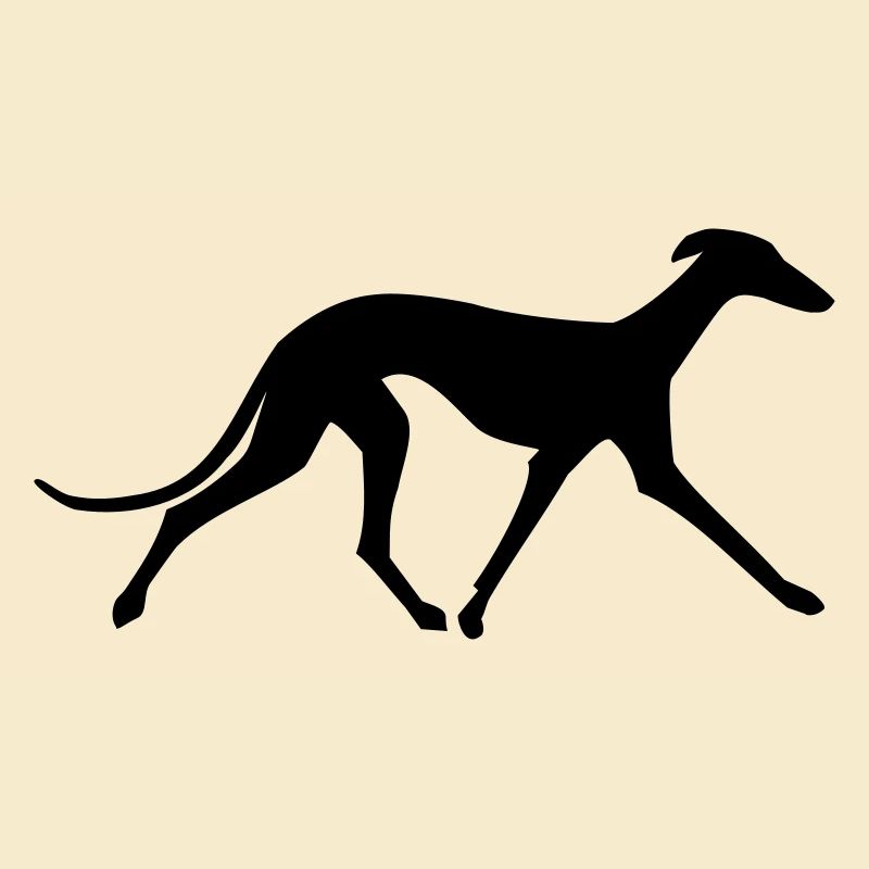 Galgo Español