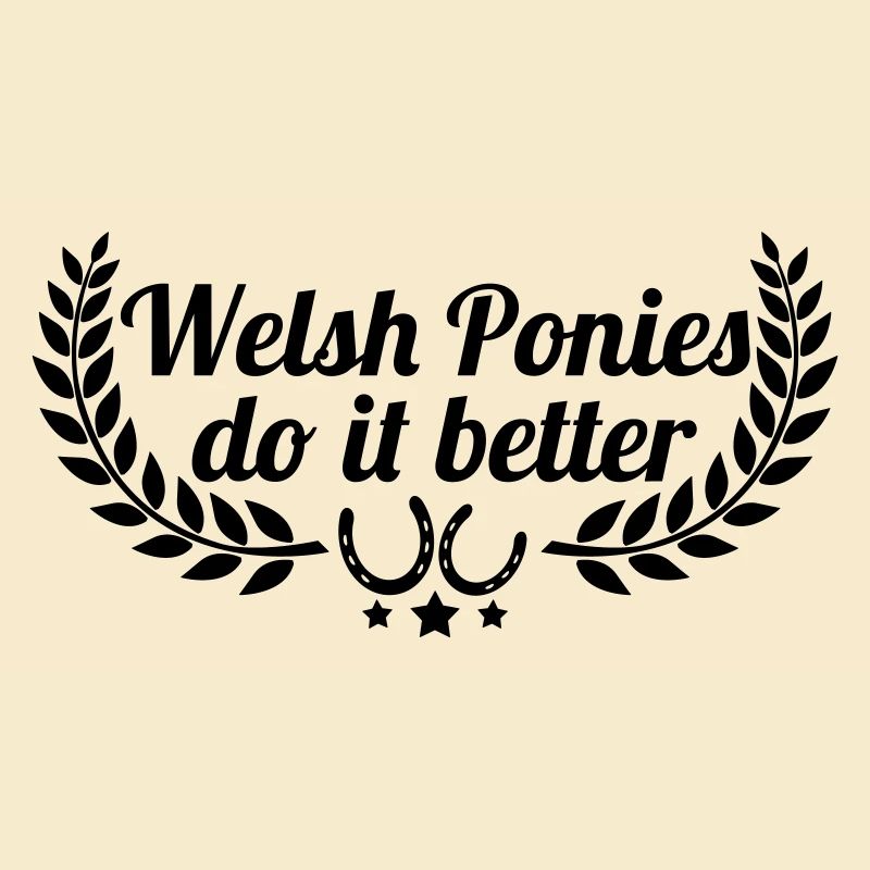 Welsh Ponies