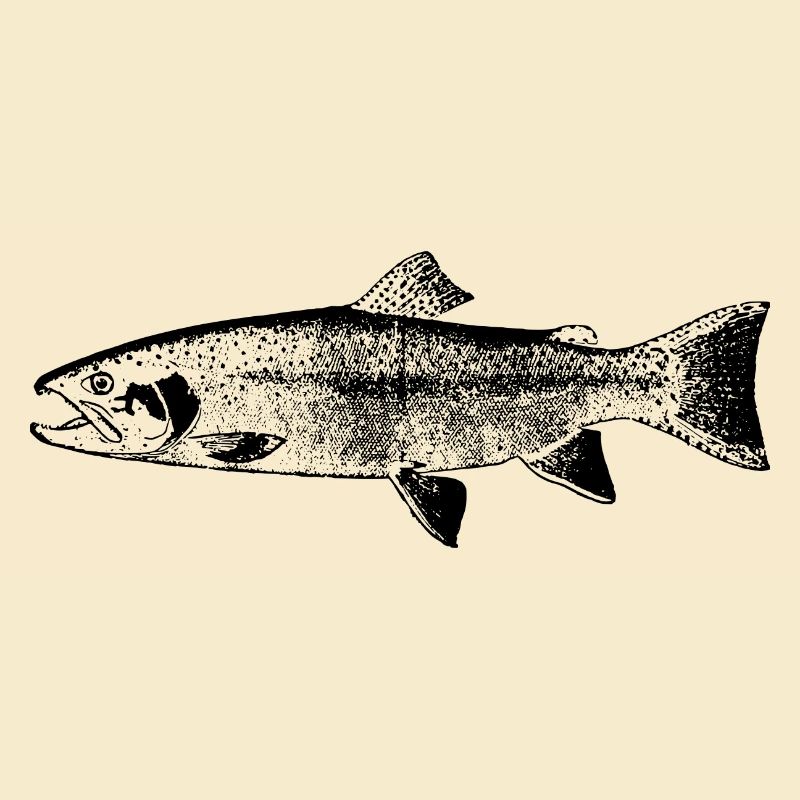 fish131