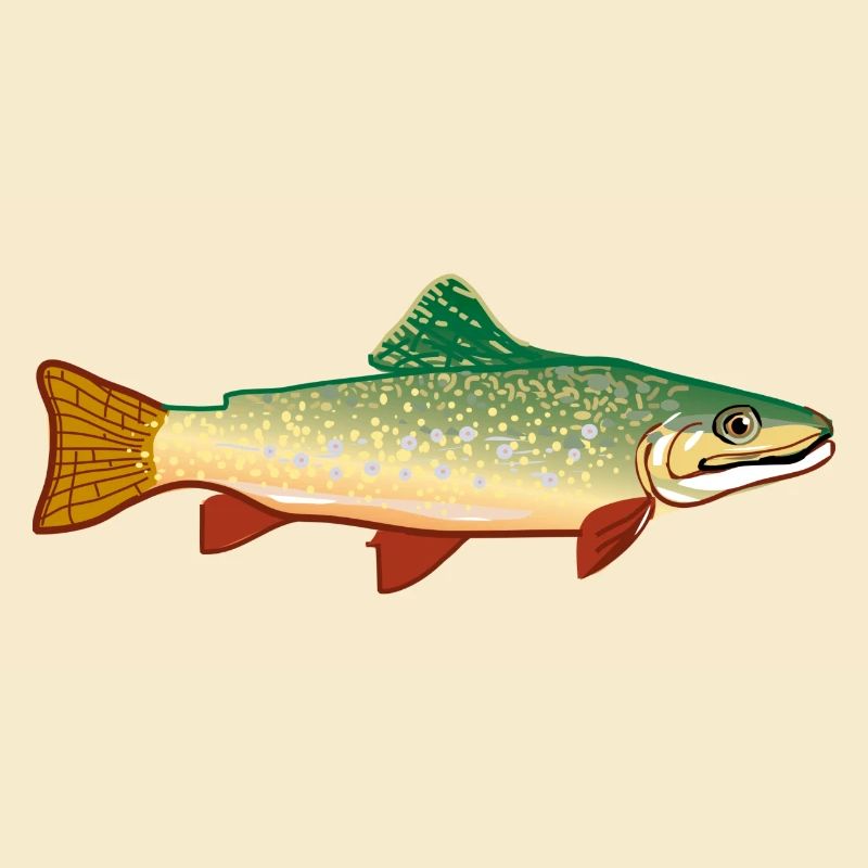 fish524