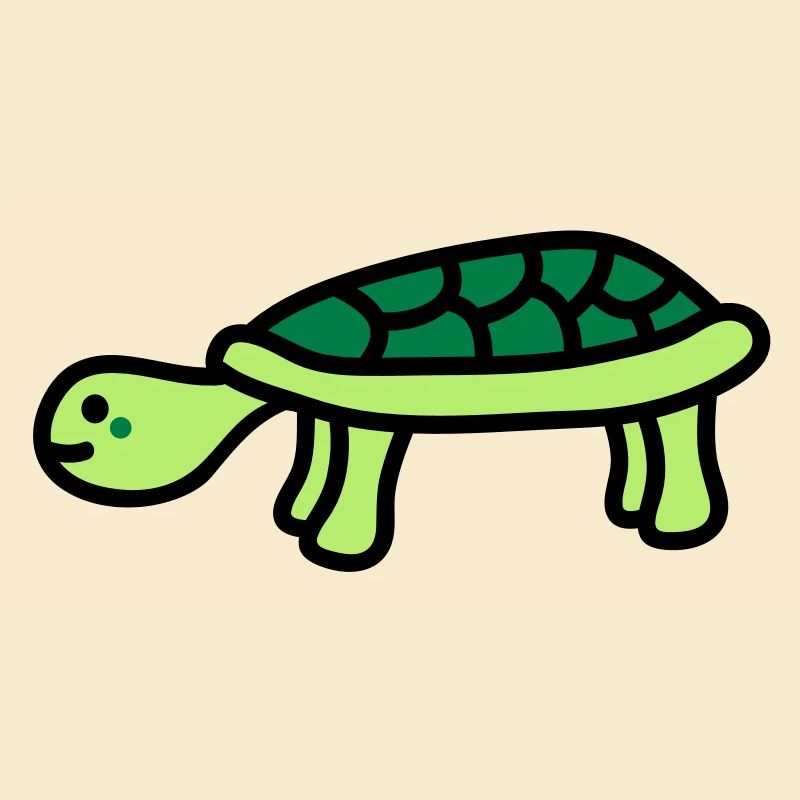 turtle