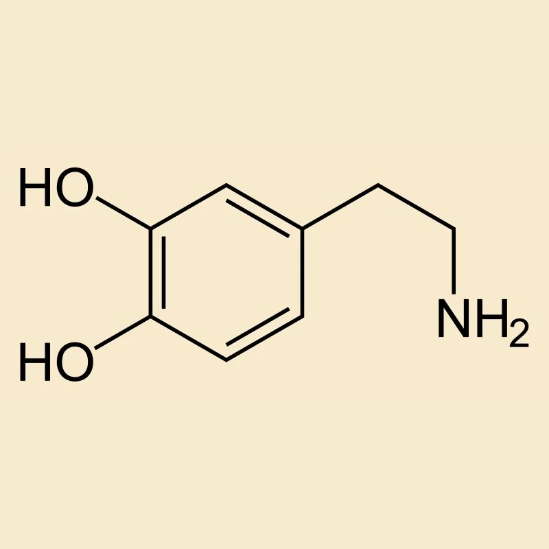 Dopamine dopamine