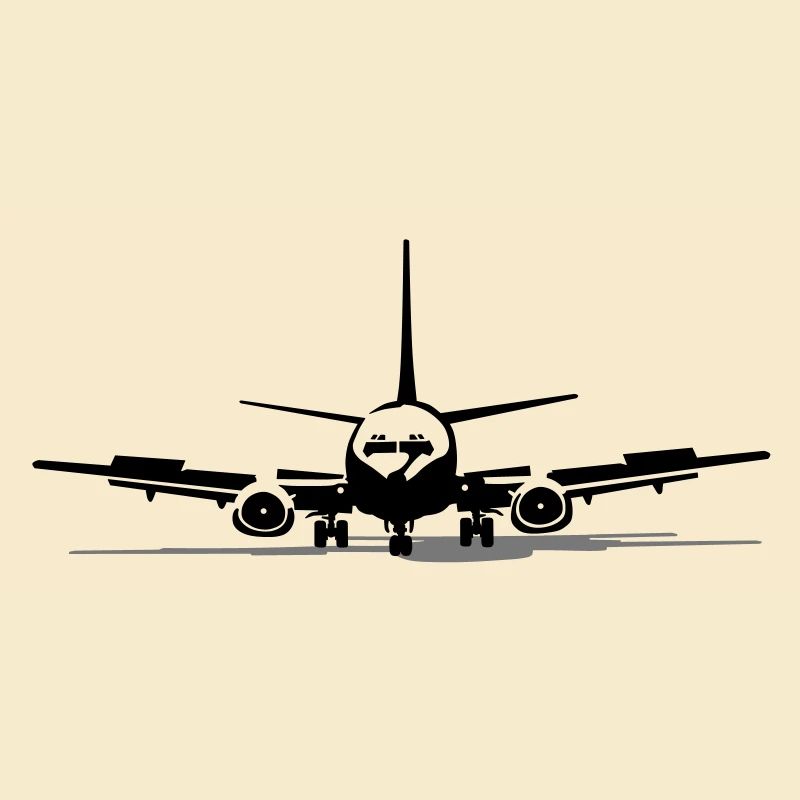 _737