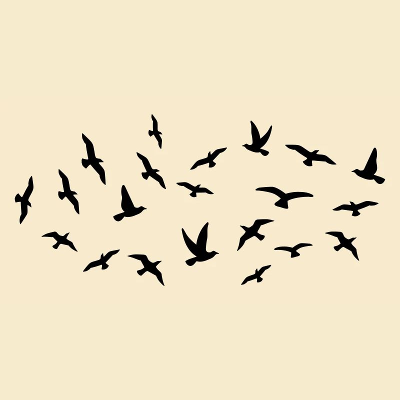 Oiseaux