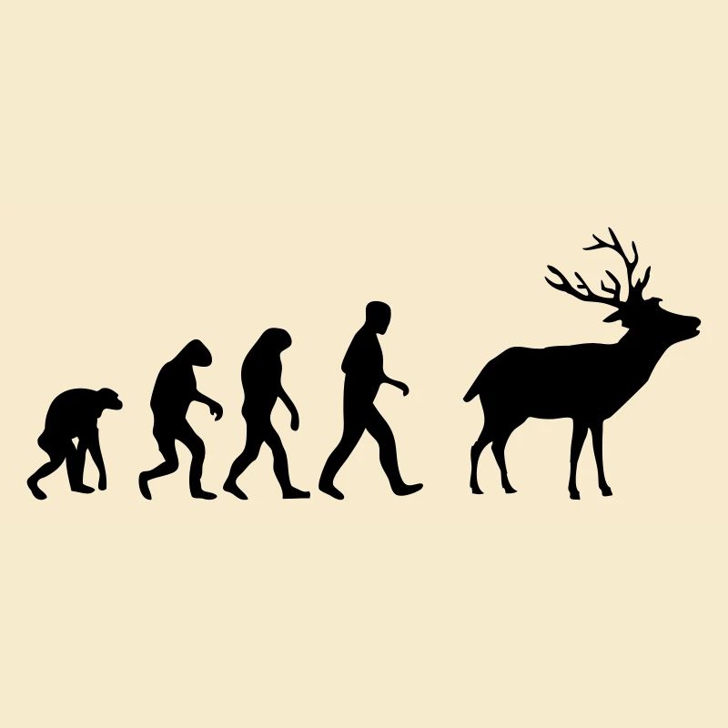 cerf evolution