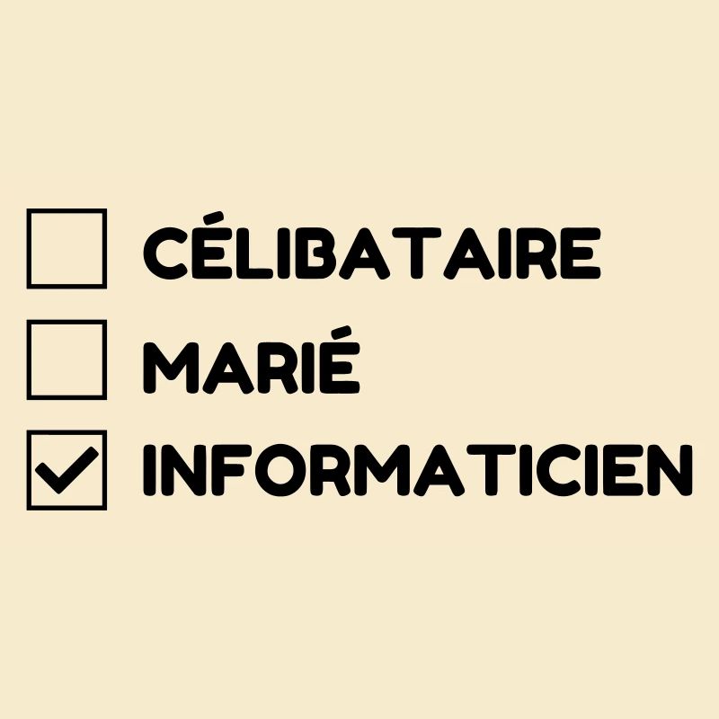 Computer Engineer Informatiker Informaticien