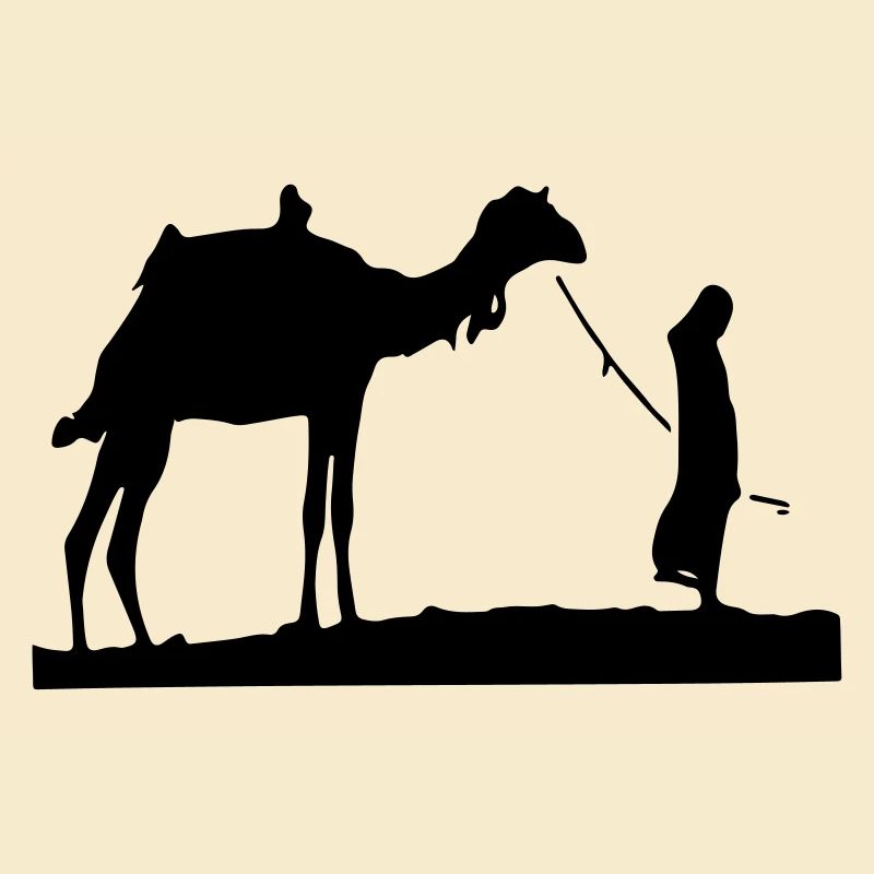 Wüste Sahara Kamel