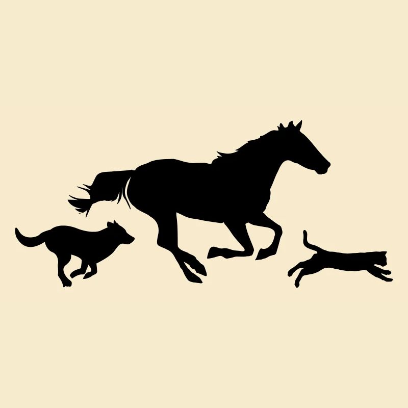 Pferd Katze Hund