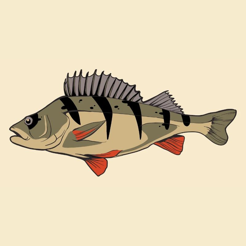 Perche Perche Perche Perche Pêche Kretzer