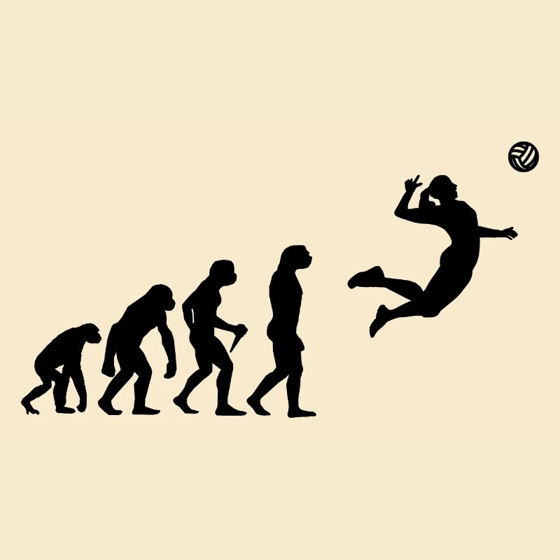 Volley Development Evolution Sport Volleyball Gesc