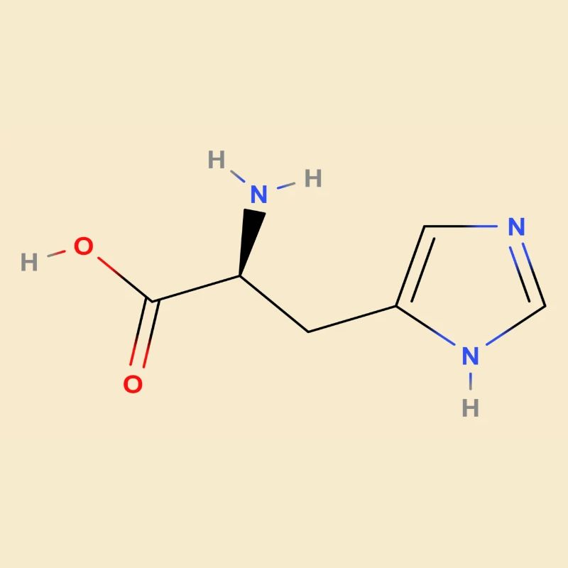 Molécule d’histidine - Formule structurale colorée