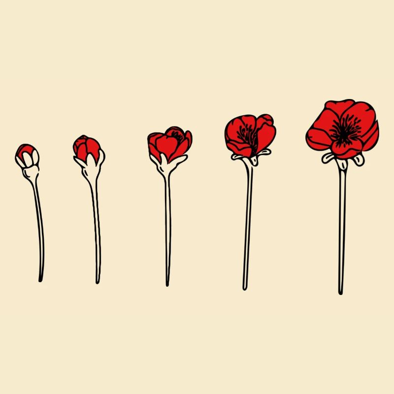Mohn