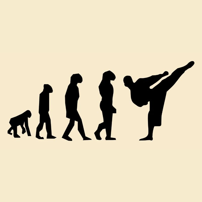 évolution karaté
