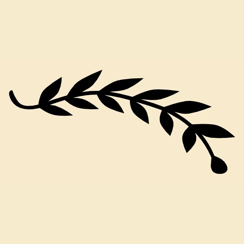 Bay leaf plant branch