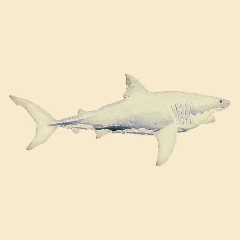 Grands requins blancs requins de mer ailerons de requin silhouette de l’océan01
