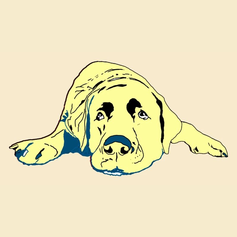 Labrador