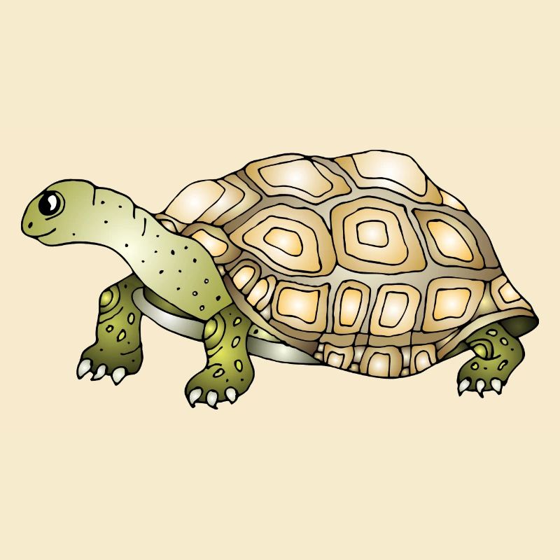 Schildkröte
