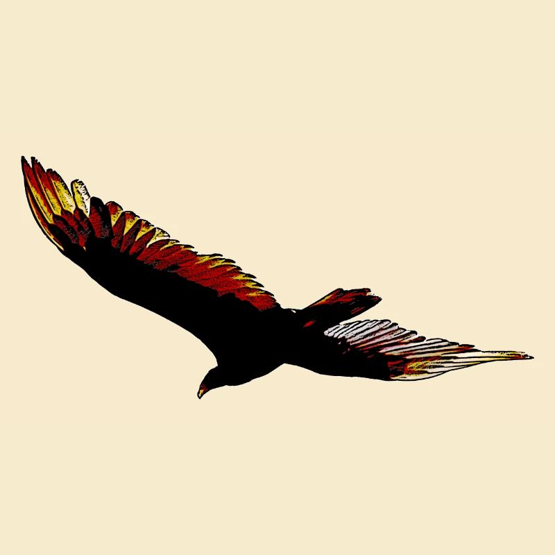 eagle