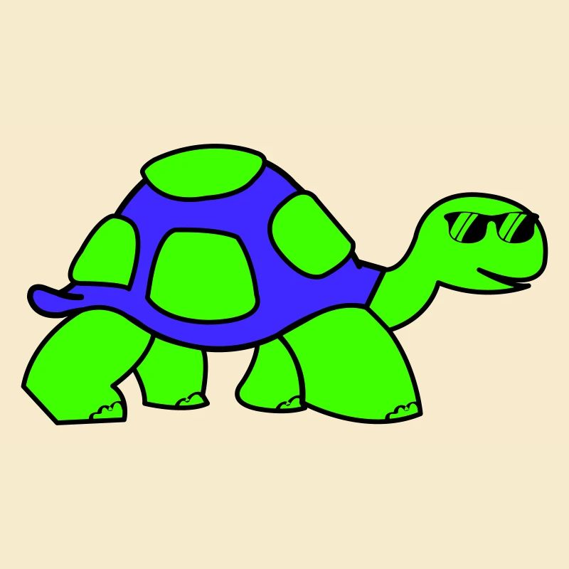 cool turtle