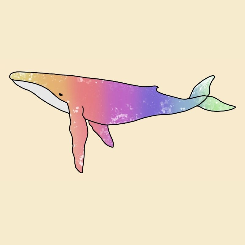 Wal Regenbogen Version