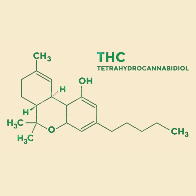 thc molecule