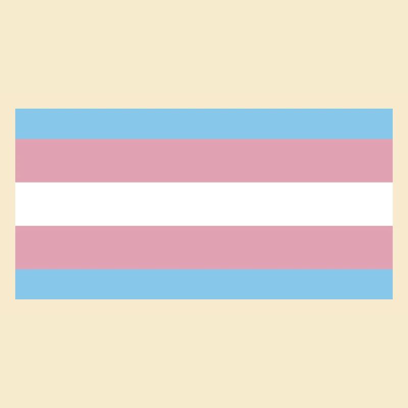 trans pride