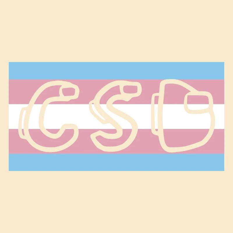 trans pride flag csd