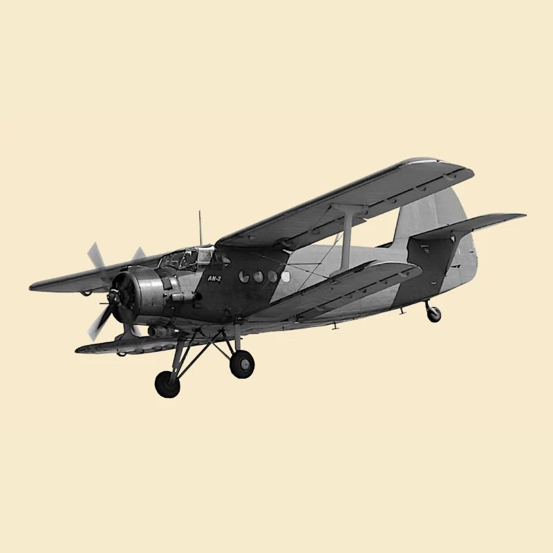 Flugzeug AN2 Doppeldecker Propeller Oldtimer