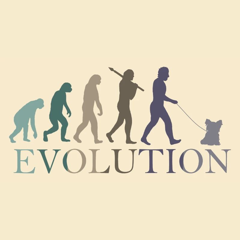 EVOLUTION Yorkshire Terrier