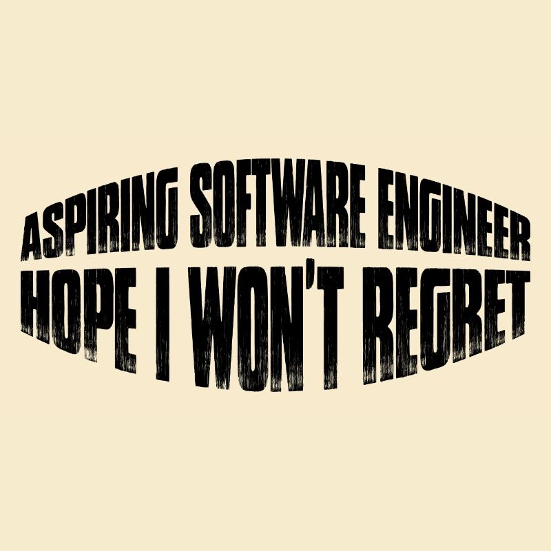 Aspiring Software Engineer, Hope I Won't Regret 4