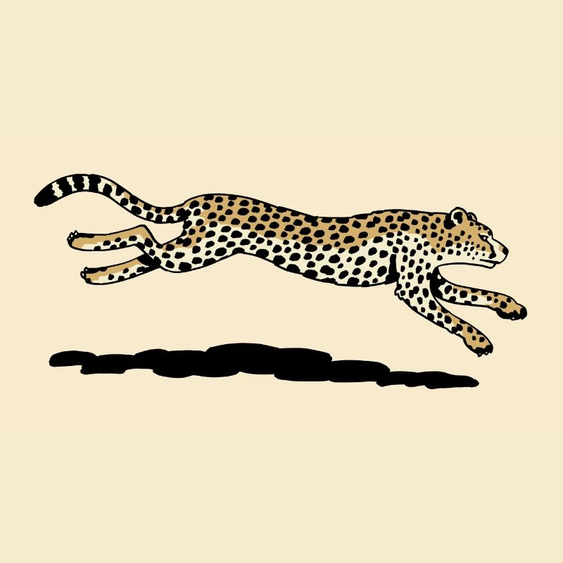Gepard