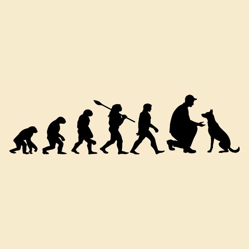 Evolution Lustiger Belgischer Malinois-Schäferhund