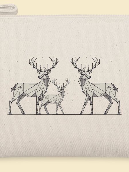 Hirsch 2D